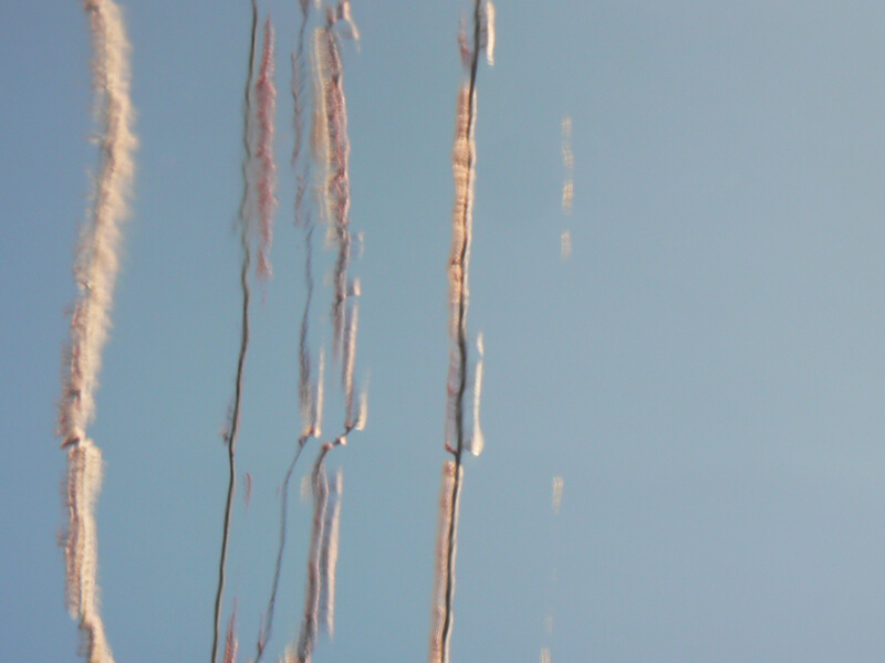 P1100041.web800pixel